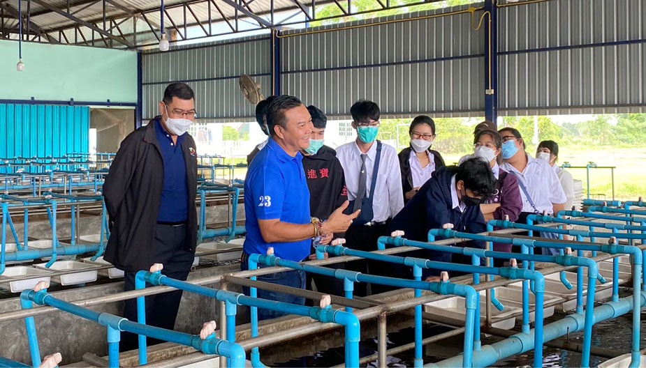 Social & Environment